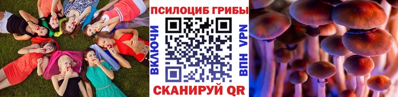 Галлюциногенные грибы Cubensis  Подольск 